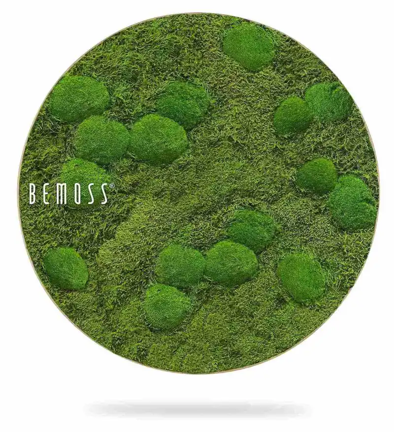 Mechový obraz kruh FLATMOSS & BOLMOSS Aves