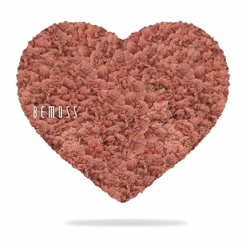 Mechové SRDCE LIŠEJNÍK mono PINK