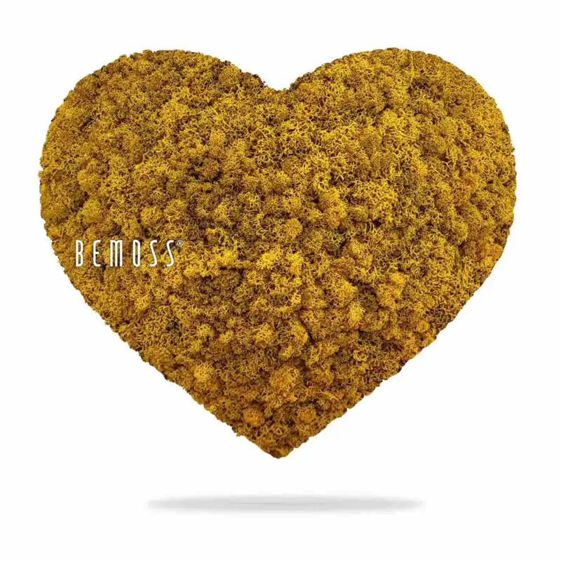 Mechové SRDCE LIŠEJNÍK mono YELLOW