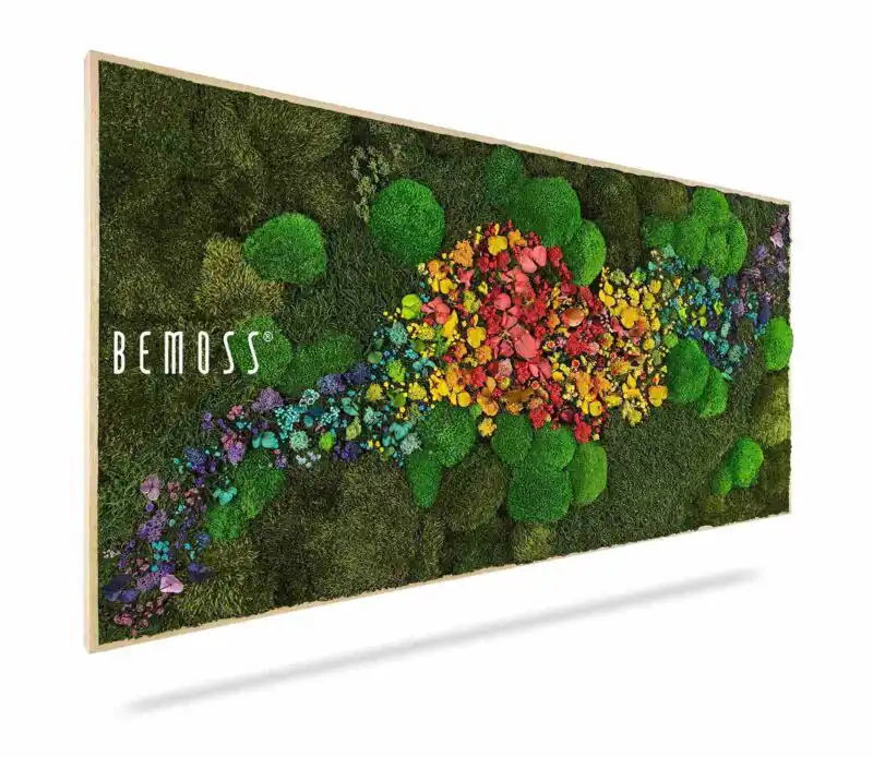 Mechový obraz ROSTLINY Acebo