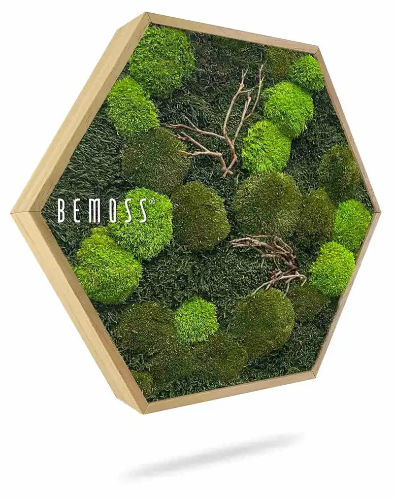 Mechový hexagon FLATMOSS & BOLMOSS Doven WOOD