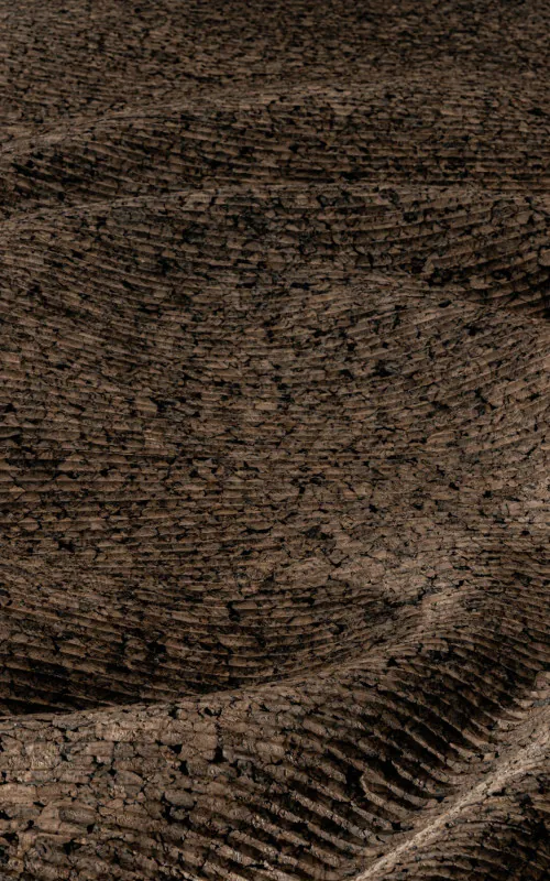 detailný záber na pletený predmet so slovami machovy obraz, stabilizovany mach, machová stena, machová dekorácia