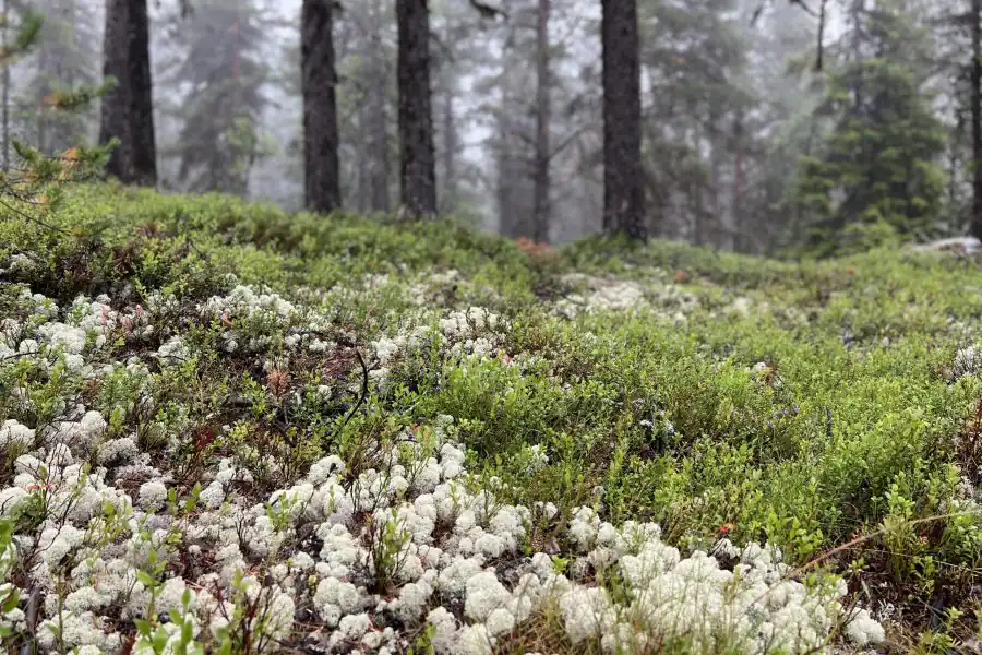 E92CABA4-6928-4C14-AFB8-9126C7C95B74