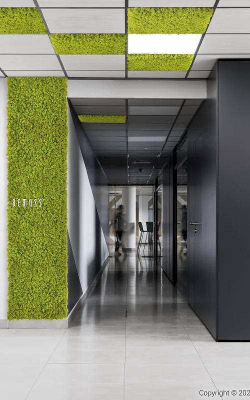 chodba so zelenou stenou a čiernymi dverami a bielou podlahou a čiernymi dverami a čiernymi dverami, environmentálne umenie , machovy obraz, stabilizovany mach, machová stena, machová dekorácia