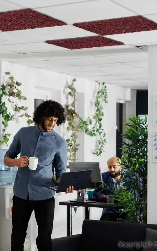 STROPNA_KAZETA_BURGUNDY_02_11zon