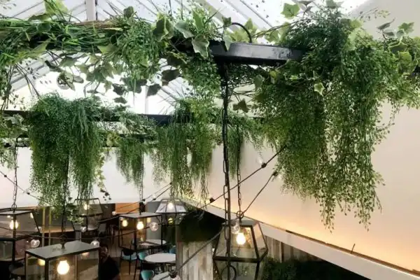 Visiace umelé zelené rastliny pod moderným preskleným stropom